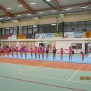 dnio 53